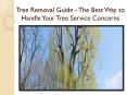 Tree Removal Guide - The Best Way to Handle Your Tree Service Concerns PowerPoint PPT Presentation