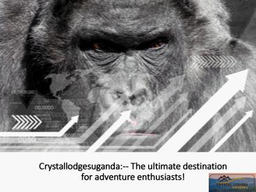 Crystallodgesuganda:-- The ultimate destination for adventure enthusiasts!