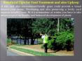 Beneficial Tips for Yard Treatment and also Upkeep PowerPoint PPT Presentation