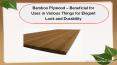 Bamboo Plywood – Beneficial for Uses in Various Things for Elegant Look and Durability