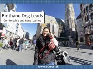 Biothane Dog Leads - Comfortable and Long Lasting