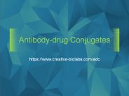 Antibody-drug Conjugate