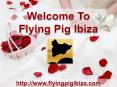 Welcome To Flying Pig Ibiza PowerPoint PPT Presentation
