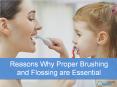 Reasons Why Proper Brushing and Flossing are essential | New Orchard Dentistry PowerPoint PPT Presentation