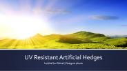 UV Resistant Artificial Hedges