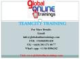 Teamcity training | Teamcity online course from India – GOT PowerPoint PPT Presentation