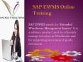 SAP EWMS Training Material