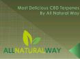 Most Delicious CBD Terpenes By All Natural Way PowerPoint PPT Presentation