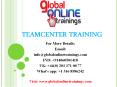 Teamcenter training | Teamcenter PLM online training - GOT PowerPoint PPT Presentation