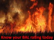 Know your BAL rating today