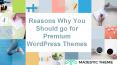 Reasons Why You Should go for Premium WordPress Themes PowerPoint PPT Presentation