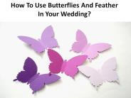 How To Use Butterflies And Feather In Your Wedding?