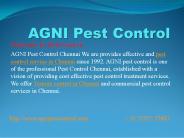 pest control service in chennai
