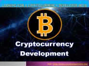 Looking for a Cryptocurrency Developer India