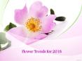 Flower Trends for 2018 PowerPoint PPT Presentation