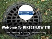 Information Presentation Of DIRECTFLOW LTD