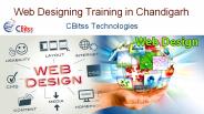 web designing Training in Chandigarh (5)