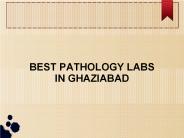 Liver Function Test in Ghaziabad