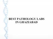 Kidney Function Test in Ghaziabad