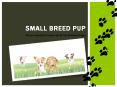Guides for pet parents of Small, Medium and Toy breed dogs PowerPoint PPT Presentation
