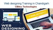 Web designing Training in Chandiagrh