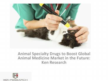 Global Animal Medicine Market Major Players
