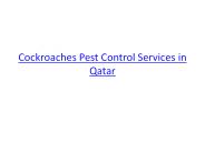 Cockroaches Pest Control Services in Qatar