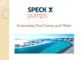 Swimming Pool Pump and Filter PowerPoint PPT Presentation