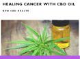 Healing Cancer With CBD Oil PowerPoint PPT Presentation