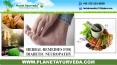 Herbal Remedies For Diabetic Neuropathy | Natural Treatment