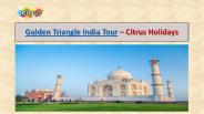 Golden Triangle Tour Packages