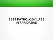 Lipid Profile Test in Faridabad
