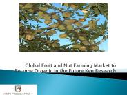Global Fruit and Nut Farming Market Competition