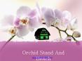 Buy Orchid Bench in Florida at Affordable Prices
