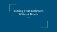 Blitzing Your Bathroom Without Bleach PowerPoint PPT Presentation