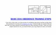 Basic Dog Obedience Training Steps