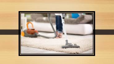 Best Pet Vacuum Buying Guide