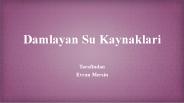 Damlayan Su Kaynakları - Evran Mersin