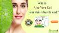 Why is Aloe Vera Gel your skin’s best friend? PowerPoint PPT Presentation