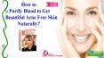How to Purify Blood to Get Beautiful Acne Free Skin Naturally? PowerPoint PPT Presentation