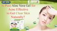 Is Pure Aloe Vera Gel for Acne Effective to Get Clear Skin Naturally? PowerPoint PPT Presentation