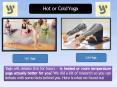Hot or Cold Yoga Mats for You PowerPoint PPT Presentation