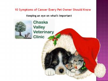 Animal Hospital - Chaska Valley Veterinary Clinic.