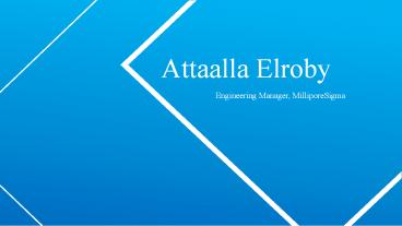 Attaalla Elroby From Marblehead, Massachusetts