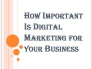 What is Search Engine Optimization NYC?