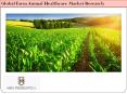 Global Agriculture Market Research Report PowerPoint PPT Presentation