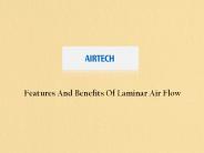 Laminar Air Flow Services