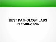 Vitamin D Profile Test in Faridabad