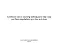 5 proficient carpet cleaning techniques to help keep your floor carpets look spot-free and clean - Master Class (1) PowerPoint PPT Presentation