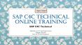 SAP C4C PPT | SAP C4C Technical Training PowerPoint PPT Presentation